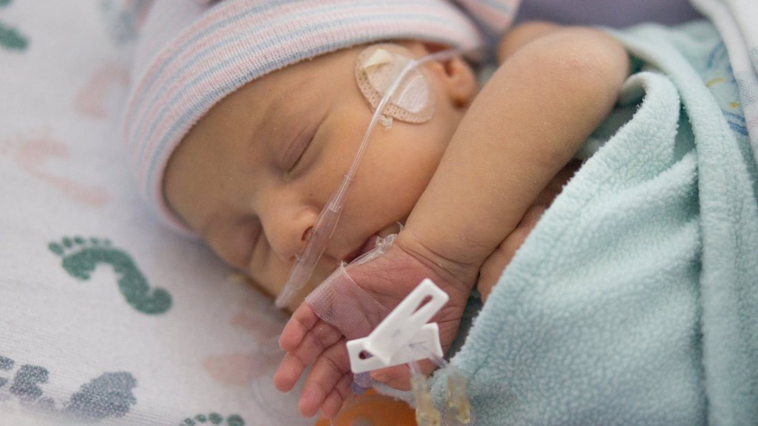 1795285_10203211229586521_1157810942_o